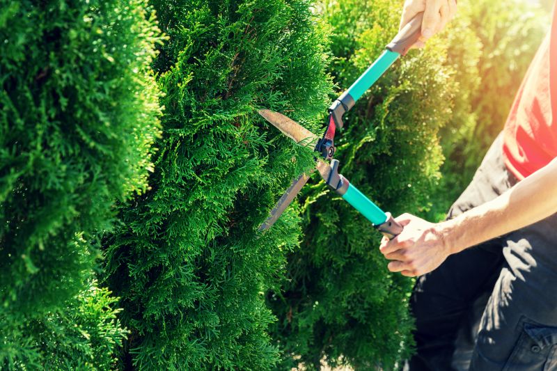 Hedge Shaping Service in Ventura County, CA